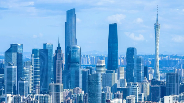 广州金兔国际图片