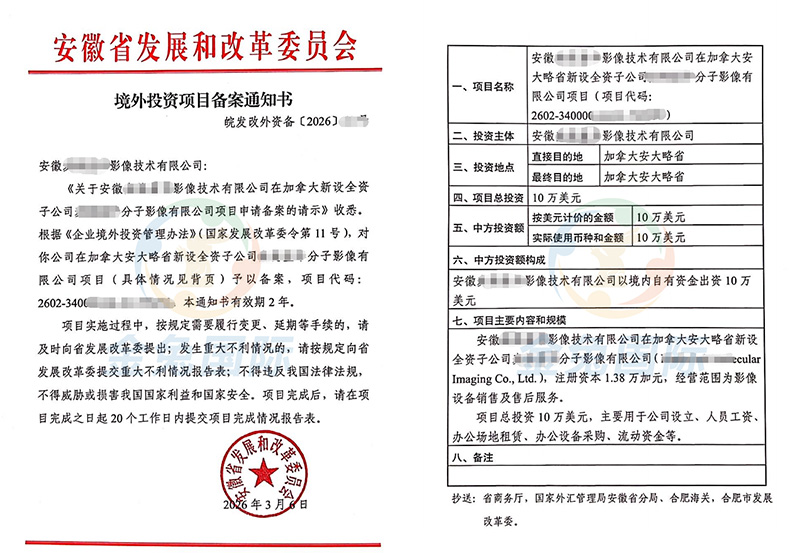 odi登记备案深度分析：行业趋势与投资机会